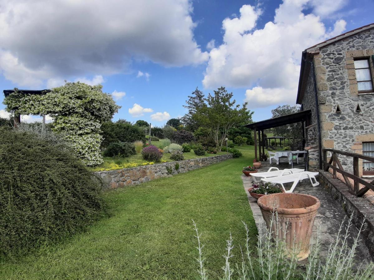 פיטיליאנו Agriturismo Cantinaccia Di Sopra מראה חיצוני תמונה