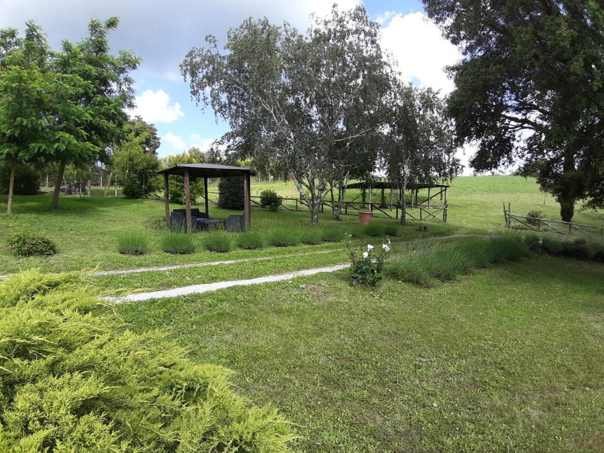 פיטיליאנו Agriturismo Cantinaccia Di Sopra מראה חיצוני תמונה