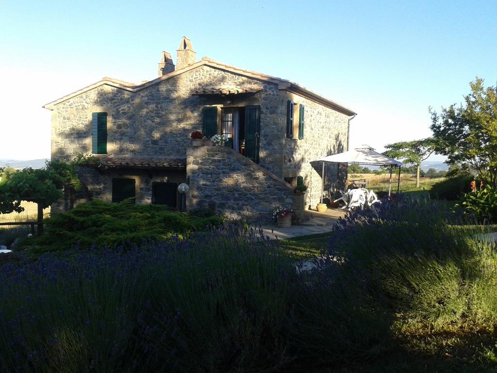 פיטיליאנו Agriturismo Cantinaccia Di Sopra מראה חיצוני תמונה