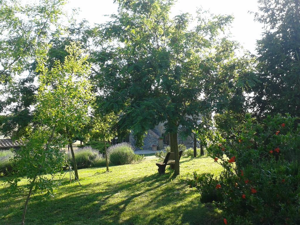 פיטיליאנו Agriturismo Cantinaccia Di Sopra מראה חיצוני תמונה