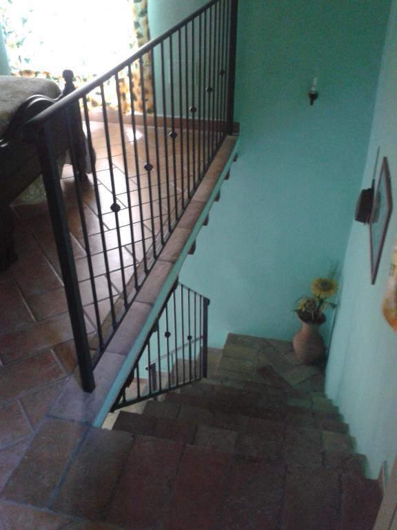 פיטיליאנו Agriturismo Cantinaccia Di Sopra מראה חיצוני תמונה